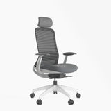 Stella Executive Ergonomic High-back Mesh Chair with Headrest, Dark Gray
