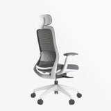 Stella Executive Ergonomic High-back Mesh Chair with Headrest, Dark Gray