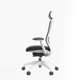 Stella Executive Ergonomic High-back Mesh Chair with Headrest, Dark Gray