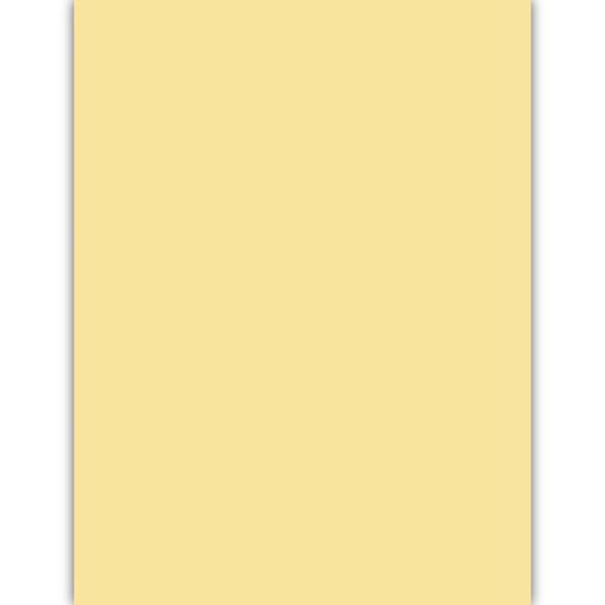 Springhill Opaque Cover Stock Paper, 8.5