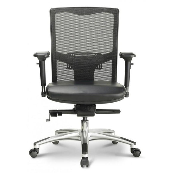 Cruiser Ergonomic Executive Task Chair