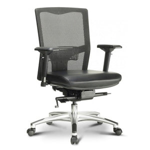 Cruiser Ergonomic Executive Task Chair