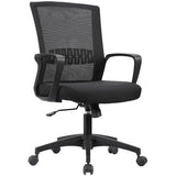 Haley II Ergonomic Mesh Task Chair, Jet Black