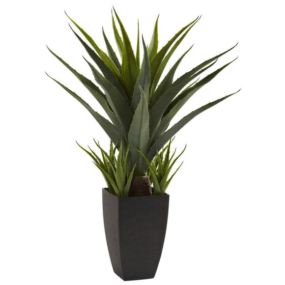 30” Agave w/ Black Planter