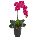 22.5” Phalaenopsis Orchid in Black Vase