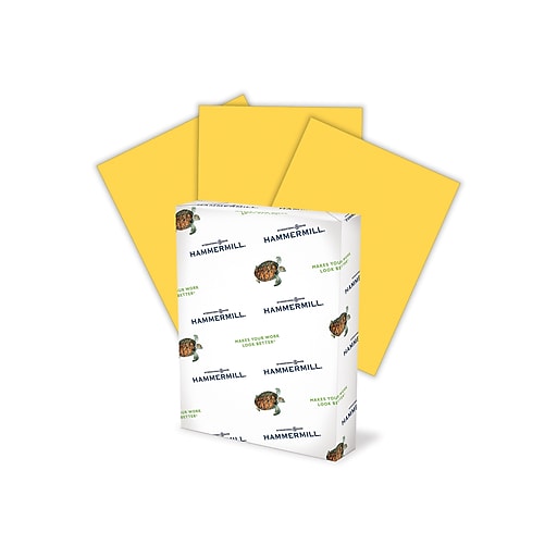 Hammermill Colors Multipurpose Paper, 20 lbs, 8.5